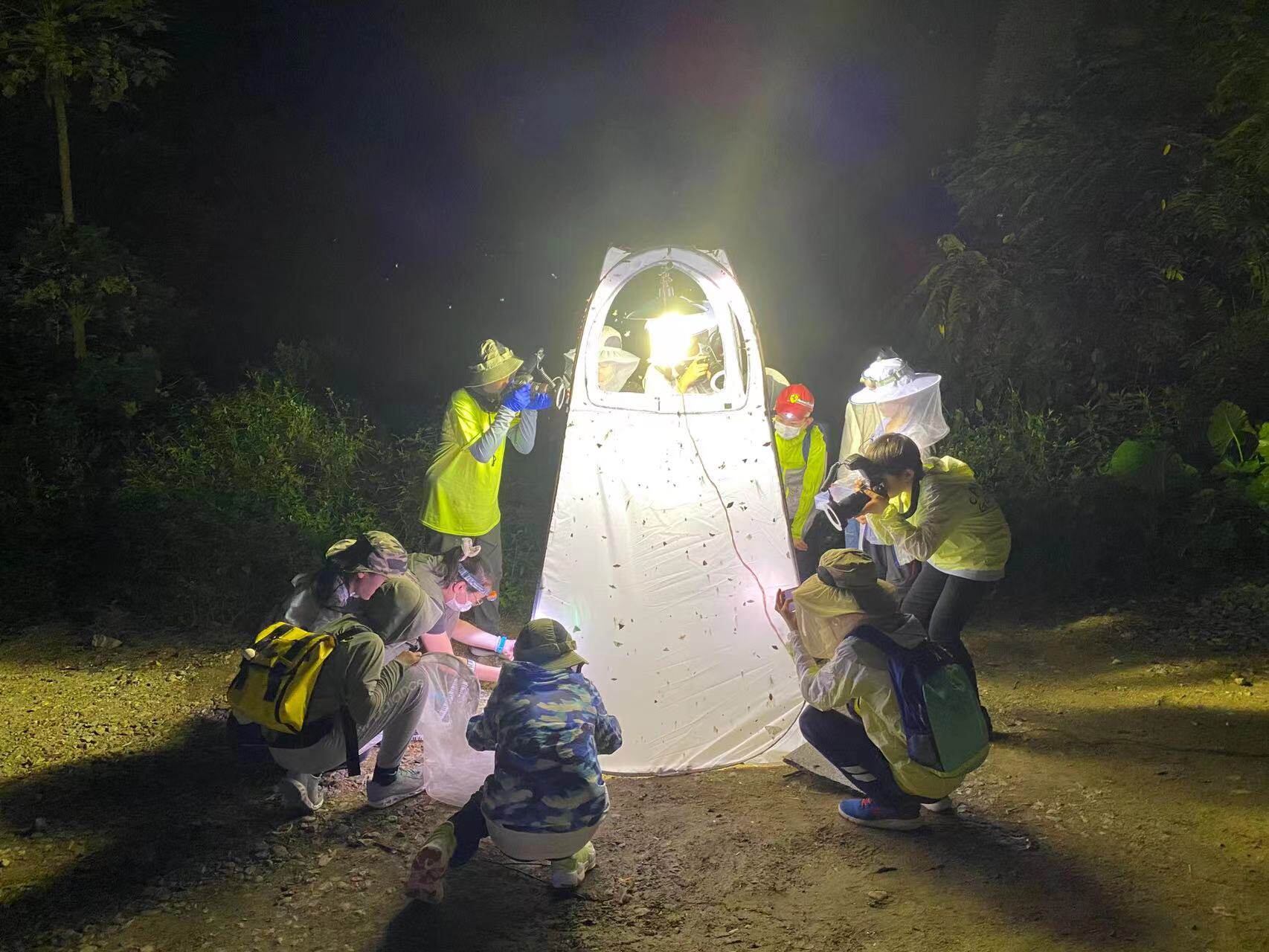 곤충 채집 시트 라이트 트랩 텐트, 지퍼가 있는 휴대용 - Outdoor Lighting Collections 리뷰 및 가격