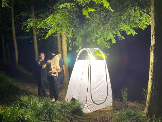 곤충 채집 시트 라이트 트랩 텐트, 지퍼가 있는 휴대용 - Outdoor Lighting Collections 리뷰 및 가격